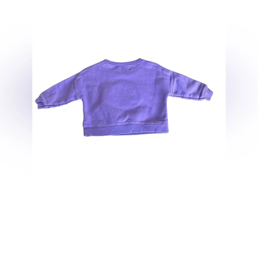 Monica + Andy Purple Sweatshirt with Pumpkin Patch size 12-18m